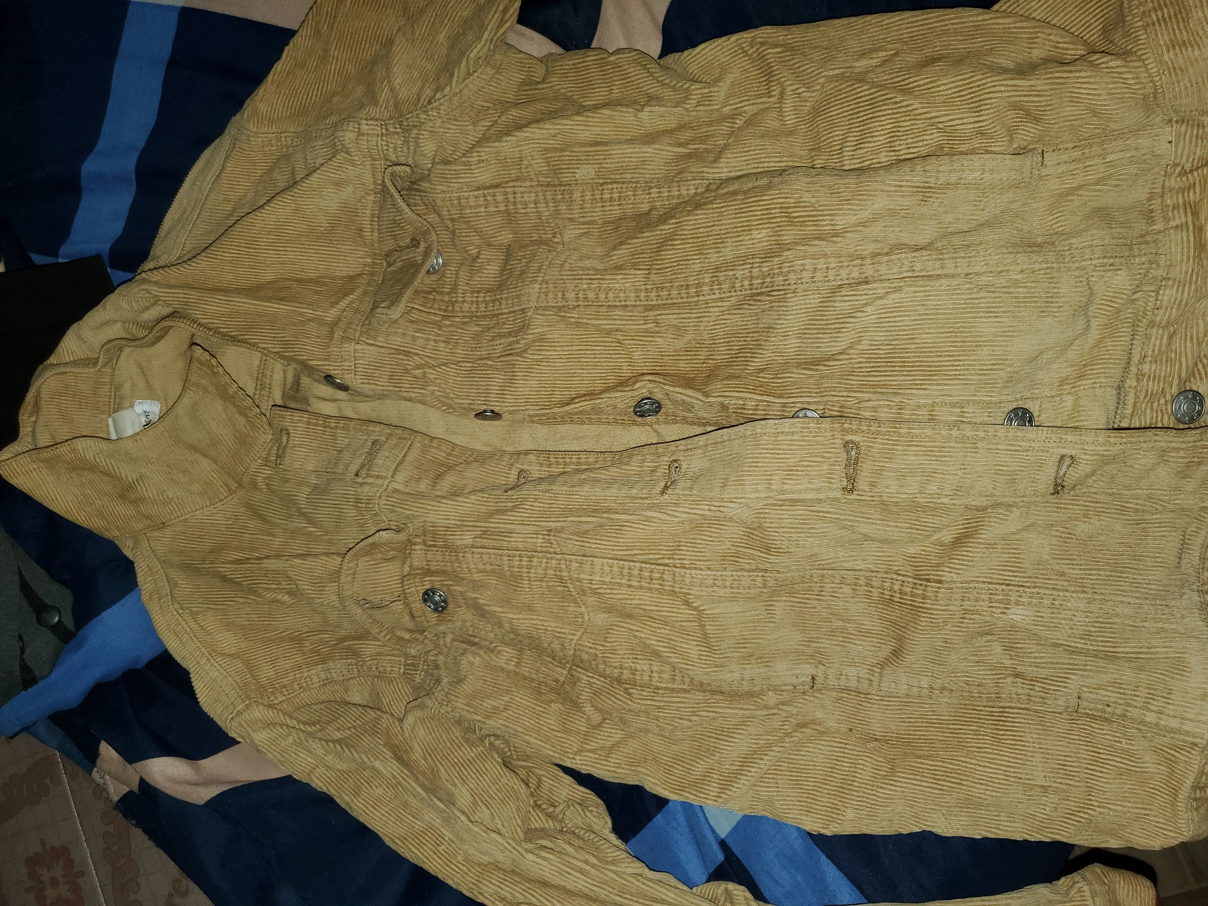 Sweat shirt